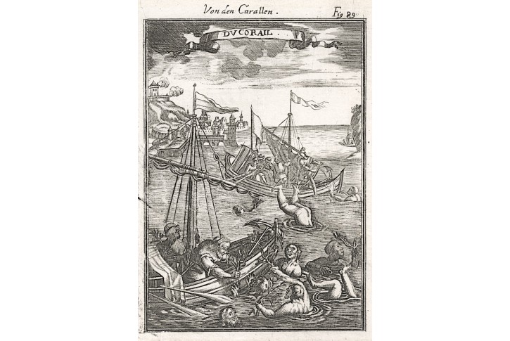 Koraly, Mallet, mědiryt, 1719