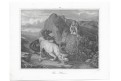 Lev koně, litografie, 1845