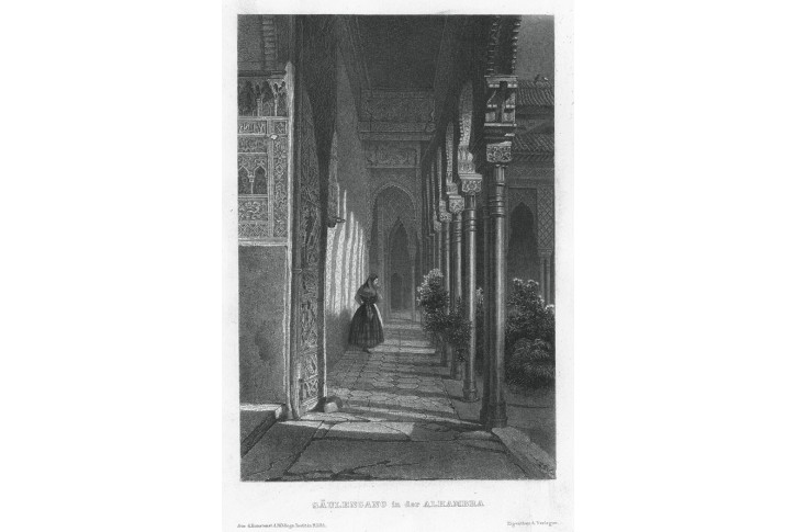 Alhambra sloupoví, Meyer, oceloryt, 1850