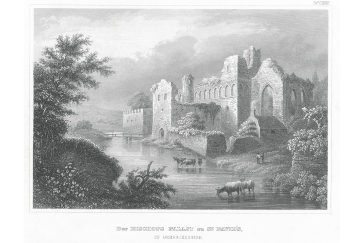 Bembrokeshire, Meyer, oceloryt, 1850