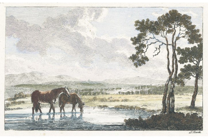 Koně u napajedla, Howit,  mědiryt, (1800)