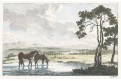 Koně u napajedla, Howit,  mědiryt, (1800)