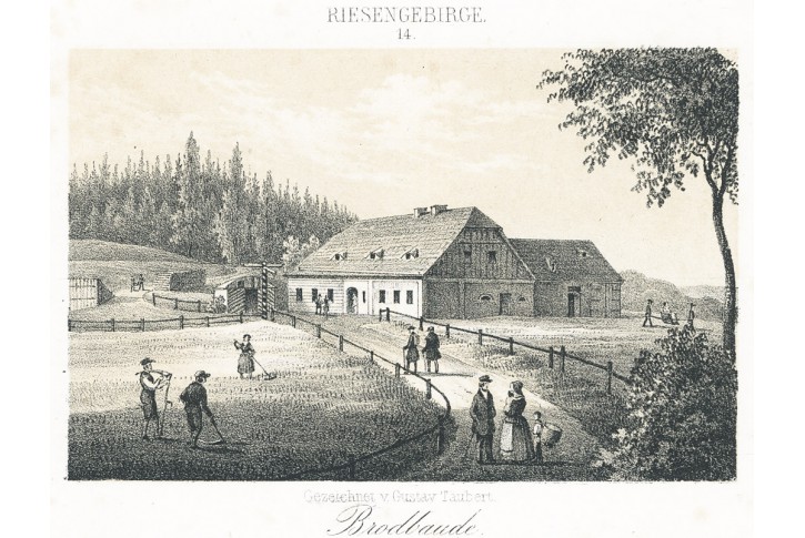 Brotbaude Stokrotka , Täubert, litografie, 1850