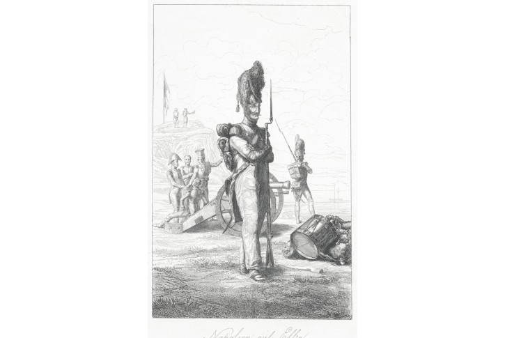 Napoleon Elba, oceloryt, (1840)