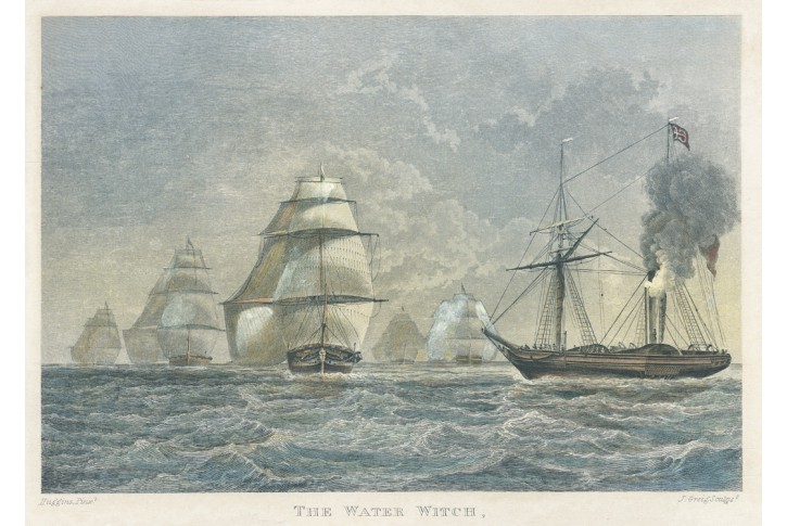 Water Wich, Pittman, kolor. oceloryt, 1837