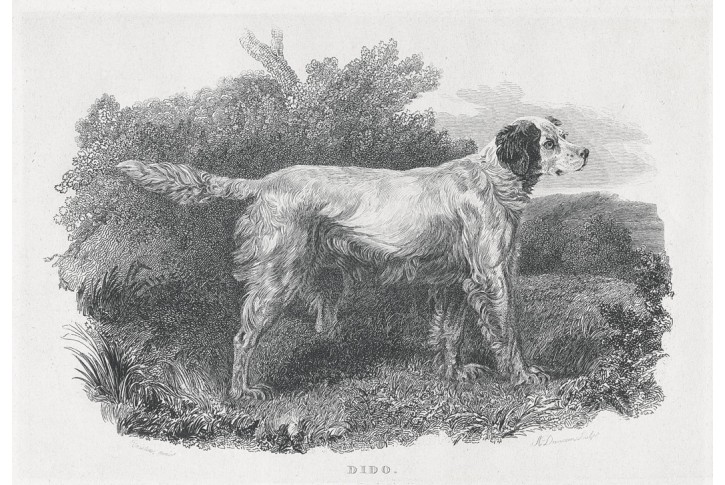 Pes Dido, Turner, oceloryt, 1839