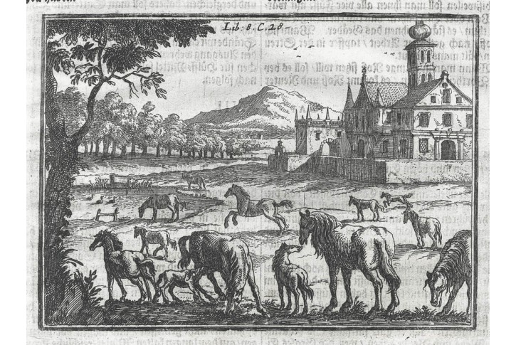 Koně pastva, Hohberg, mědiryt, 1684