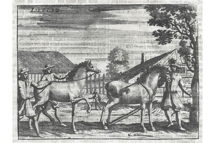 Koně zapřahání, Hohberg, mědiryt, 1684