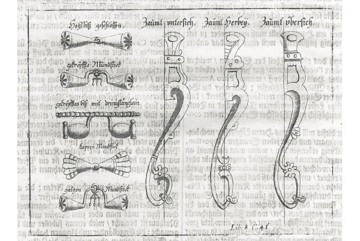 Koně třmeny udidlo, Hohberg, mědiryt, 1684