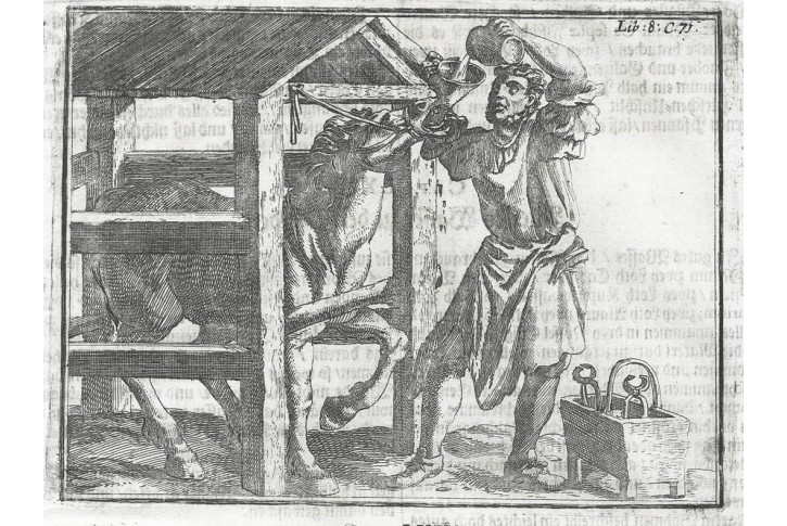 Koně napájení, Hohberg, mědiryt, 1684