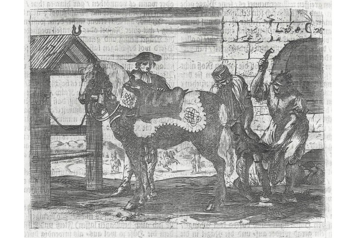 Koně kovář podkovy, Hohberg, mědiryt, 1684